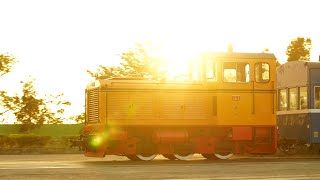 蒜頭糖廠德馬小火車 農曆春節記錄(2024/1/6)