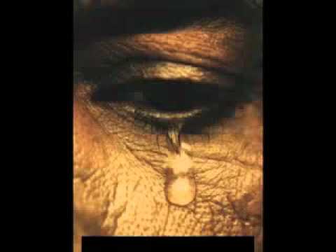 Prof Dr Shefqet Krasniqi te qajturit nga friga e All llahut