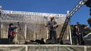 ROBYN HITCHCOCK - “I Wanna Destroy You” (Soft Boys) 10/7/18