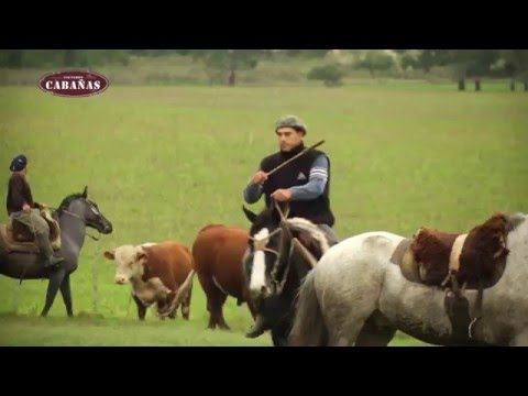 download lagu mp3 mp4 Asociacion Rural Del Uruguay, download lagu Asociacion Rural Del Uruguay gratis, unduh video klip Asociacion Rural Del Uruguay