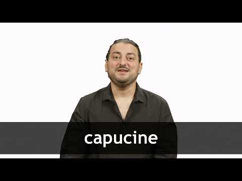 English Translation of “CAPUCINE” | Collins French-English Dictionary