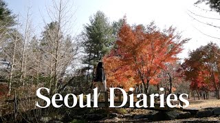 Korea Vlog 🇰🇷 | Air Premia flight, Alpaca World, Nami Island, Garden of Morning Calm tour 🍁