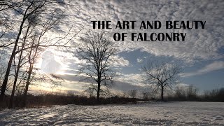 The "Art" of Falconry