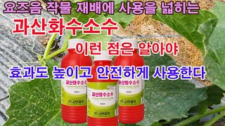 요즈음 작물 재배에 사용을 점점 넓히는 과산화수소수. 이런 점은 알아야 효과도 높이고 안전하게 사용한다.(친…