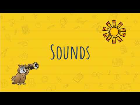 Fundations Test: Bossy R