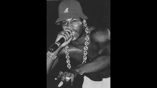 LL COOL J   - Why Do You Think They Call It Dope?