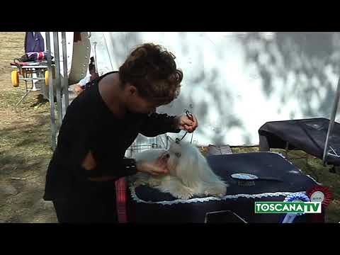 2017-09-04 PRATO - BAGNI AUTOPULENTI EX IPPODROMO, INSTALLATI E ROTTI