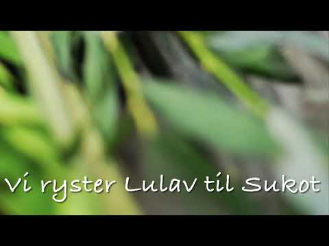 En sang til Sukot - dans i Sukah