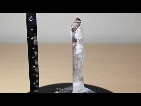 アナルシムについて詳しく解説