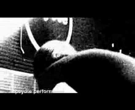 Noisy Sins of the Insect - Lora