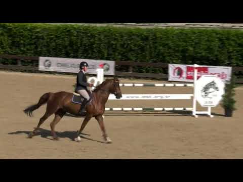 Serra Sengel - Acolido - 24.04.2022 Kadın Biniciler Bölge Şampiyonası Final İkincisi