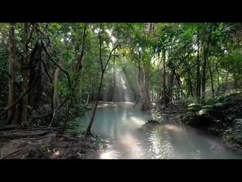 Hno Abimael Granados - Que Conocerte Fue simplemente Lo Mejor