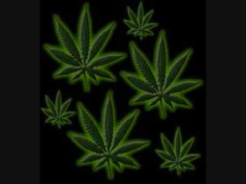 NO4NOI BEAT UKURENIJ TRACK