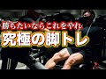 【必見】大会で勝つ人はこれくらい当たり前?IFBBPROボディビルダーが教える究極の脚トレ!