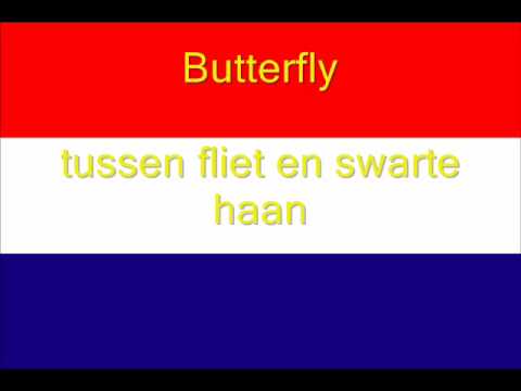 butterfly - tussen fliet en swarte haan.wmv