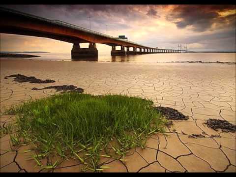 Vana koer ja kummipuu - Uno Kaupmees