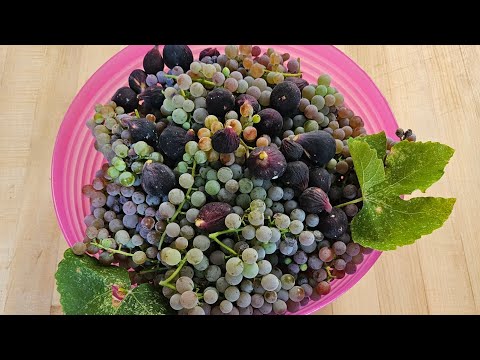 Tom meets Bruce Angel. After Breakfast at Brunch, Broth and Bloom. For a pint and a smoke.