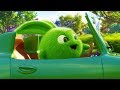 SUNNY BUNNIES LITTLE RACERS Videos For Kids Funny Videos For Kids