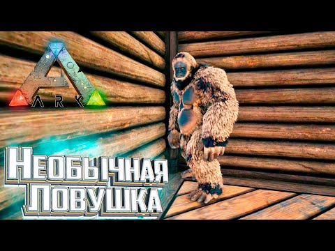 Тут у нас Что то НЕОБЫЧНОЕ - ARK Survival DOX #6