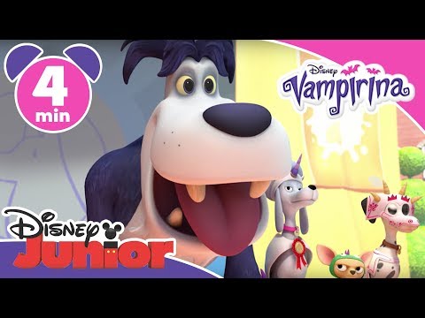 download lagu mp3 mp4 Italia Com, download lagu Italia Com gratis, unduh video klip Italia Com