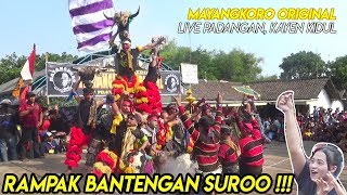 Download lagu RAMPAK BANTENGAN SUROO !!! MAYANGKORO ORIGINAL - LIVE KAYEN KAB KEDIRI mp3