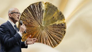 Złożone życie mogło narodzić się na Ziemi więcej niż raz — oto dlaczego nauka to rozważa