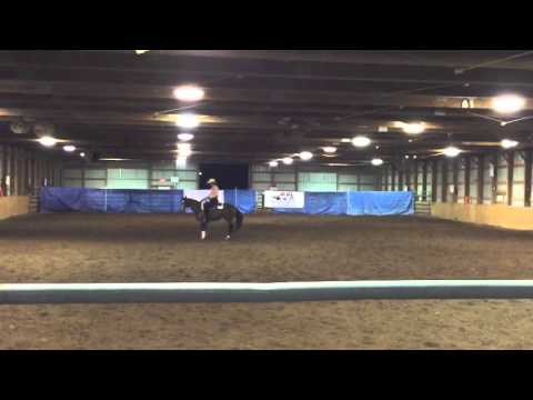 RIMINIC N MELODY; KRHA, RANCH REINING 4/30/16  : 1ST PLACE