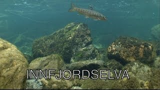 preview picture of video 'Innfjordelva, 3 min. under vann'