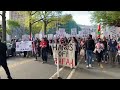 Pro-Palestinian protesters gather at MIT campus - Video