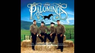 TU RETIRADA ( LOS PALOMINOS )