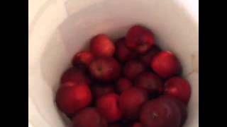 Chris Remson - E-40 be like... Vine Compilation