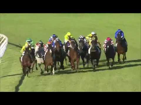 2019 Doomben 10,000 | The Bostonian