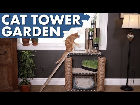 download lagu mp3 mp4 Russell Hardy Cat Scratcher, download lagu Russell Hardy Cat Scratcher gratis, unduh video klip Russell Hardy Cat Scratcher