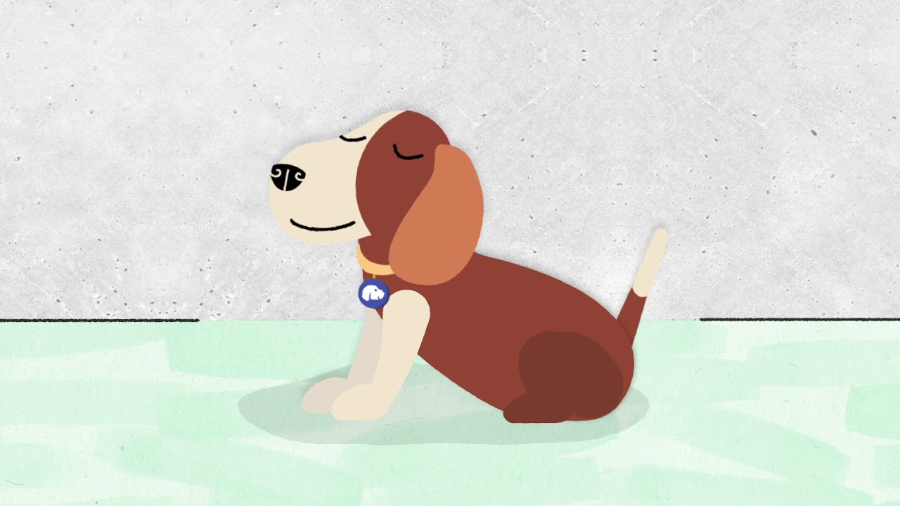 The Beagle Button - YouTube