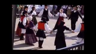 preview picture of video 'Burgos - Esibiziona del Gruppo Folkloristico Foresta Burgos'