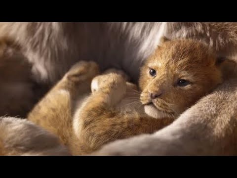 download lagu mp3 mp4 Story Of Movie The Lion King, download lagu Story Of Movie The Lion King gratis, unduh video klip Story Of Movie The Lion King