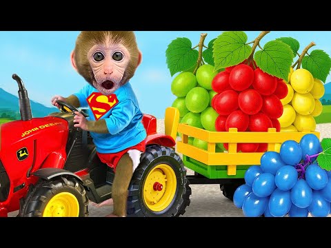 Bebé Mono BonBon come fruta dulce en casa y huye del tsunami - MONO BONBON ESP