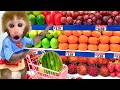 Baby Monkey BonBon Eats Sweet Fruit At Home And Flees The Tsunami MONO BONBON ESP