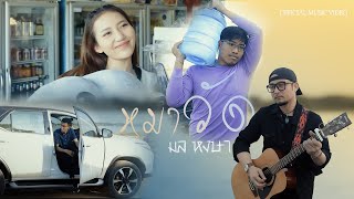 หมาวัด – มล หงษา