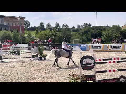 LEVINO (8yo Levisonn) 08.21 Killingen - SPR S** 145 cm