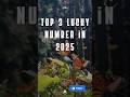 Top 3 Lucky Number In 2025 Luckynumber Zodiacsigns Zodiac Horoscope