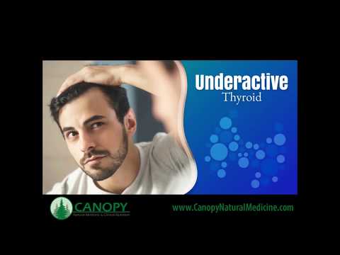 Mysteries of the Thyroid Explained