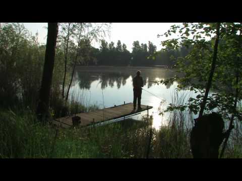 Der Waldsee - Angeln und Natur im Herzen des Rheinlands