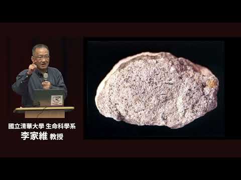 珠寶裡的自然史一琥珀藏龍｜李家維