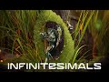 Vidéo de gameplay de Infinitesimals  Playstation