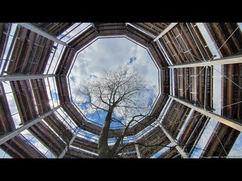 Baumwipfelpfad Steigerwald