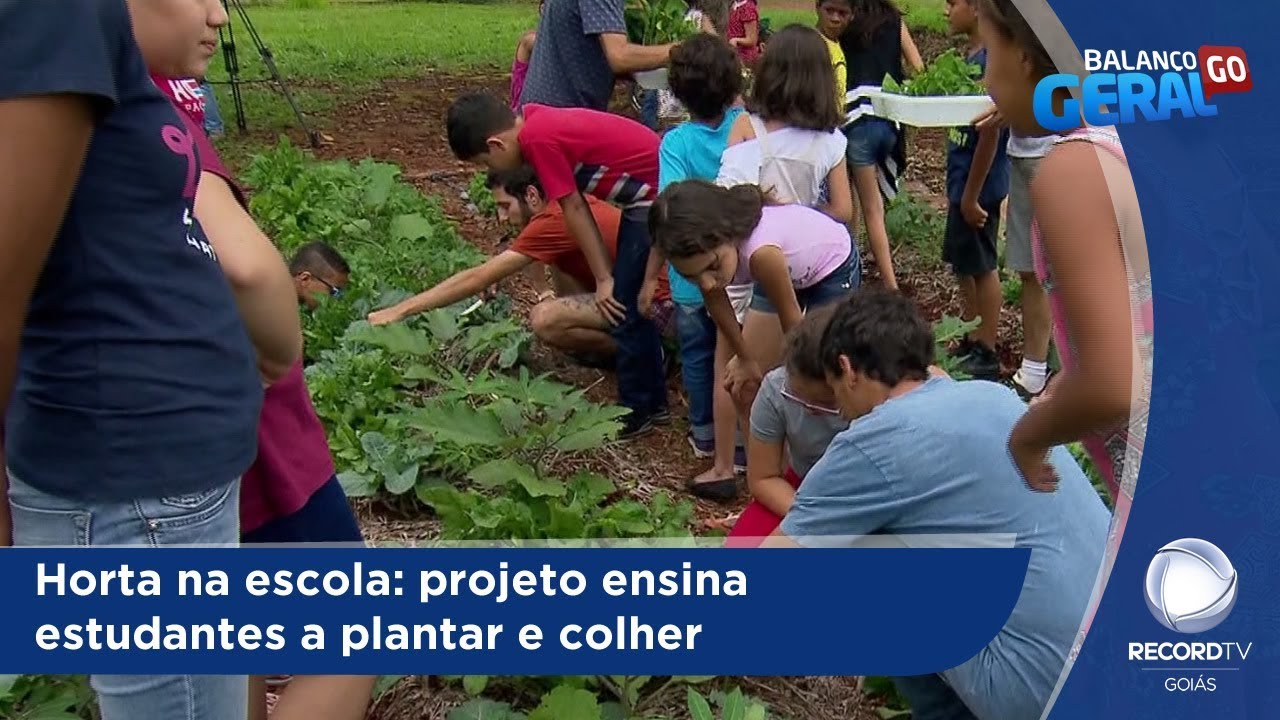 Horta na escola: projeto ensina estudantes a plantar e colher