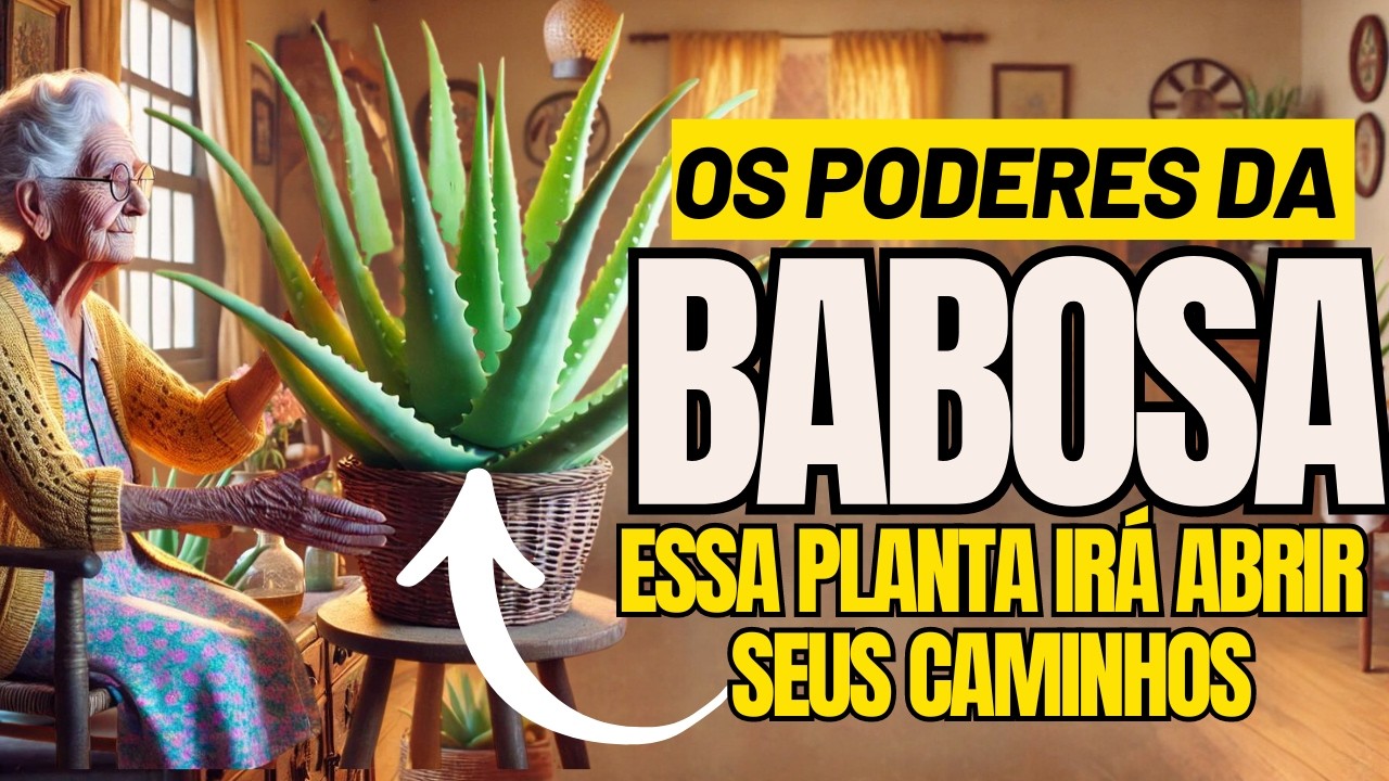 O PODEROSO PODER da BABOSA em Nossas Vidas | Sabedoria da Vovó Maria