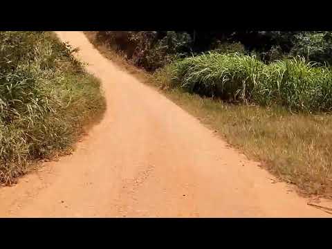 Saindo da lagoa grande #sergipe para paripiranga #bahia / Conhecendo o interior do #nordeste 