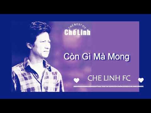 Còn gì mà mong - Chế Linh